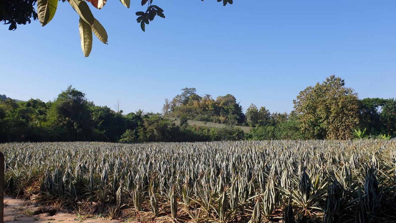 จำค่า ชาเลท์ บ้านพักสวนเกษตร Lampang Eksteriør billede