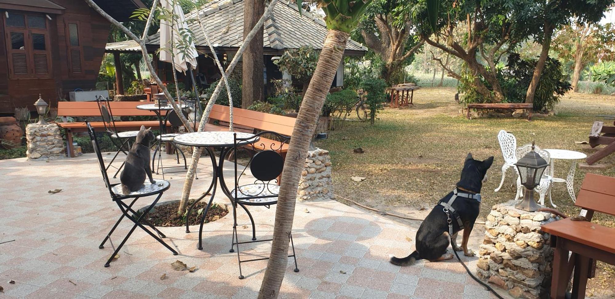 จำค่า ชาเลท์ บ้านพักสวนเกษตร Lampang Værelse billede
